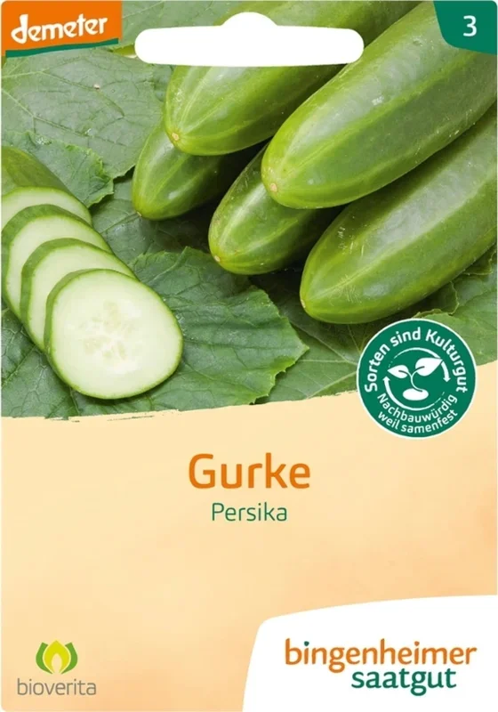 Bingenheimer Saatgut Freilandgurke „Persika“