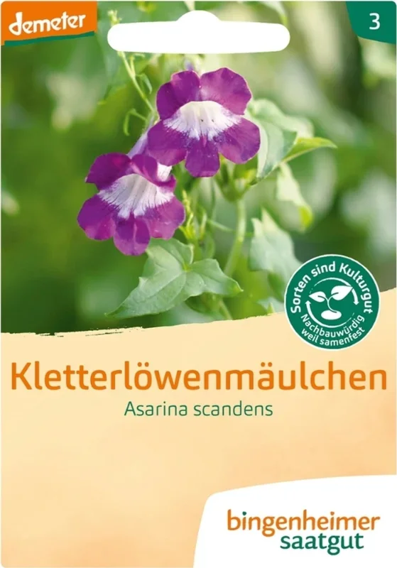Bingenheimer Saatgut Kletterlöwenmäulchen