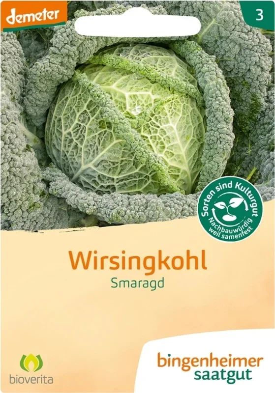 Bingenheimer Saatgut Kohl, Wirsing „Smaragd“