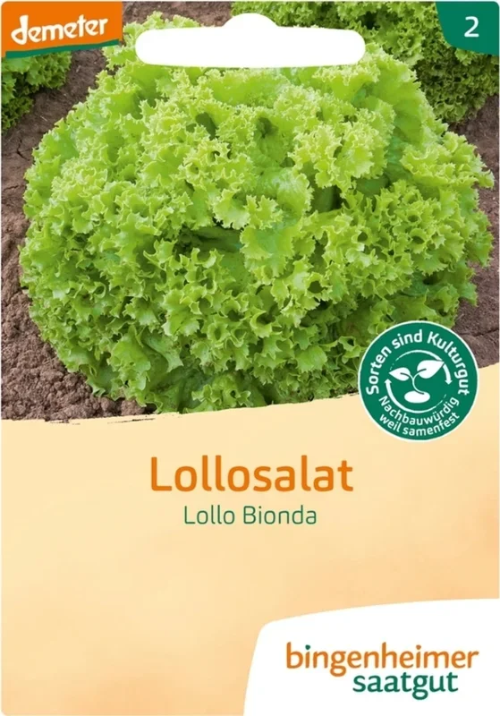 Bingenheimer Saatgut Salat „Lollo Bionda“