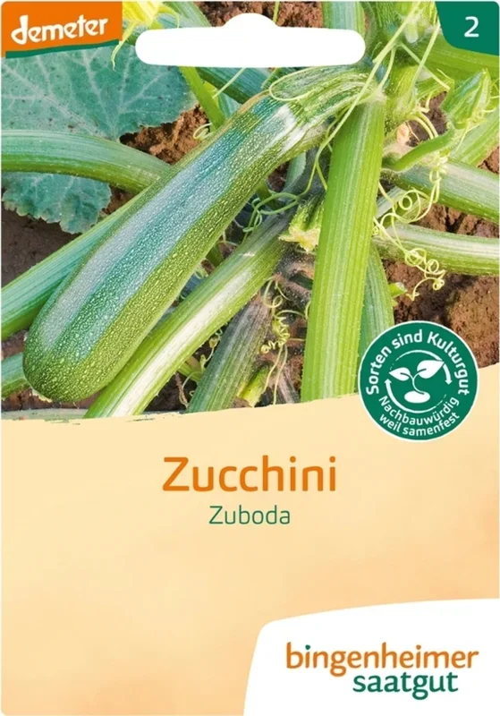 Bingenheimer Saatgut Zucchini „Zuboda“