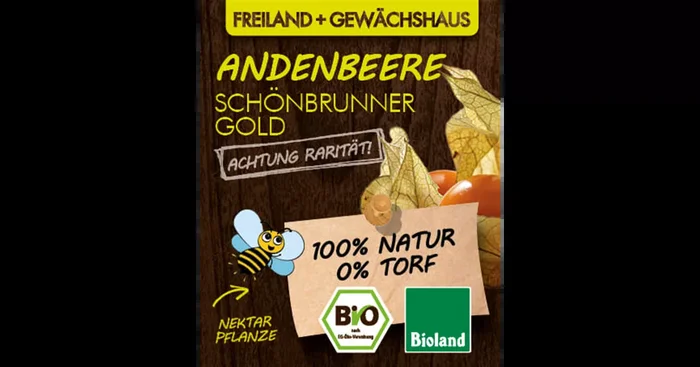 Bio Andenbeere ‚Schönbrunner Gold‘
