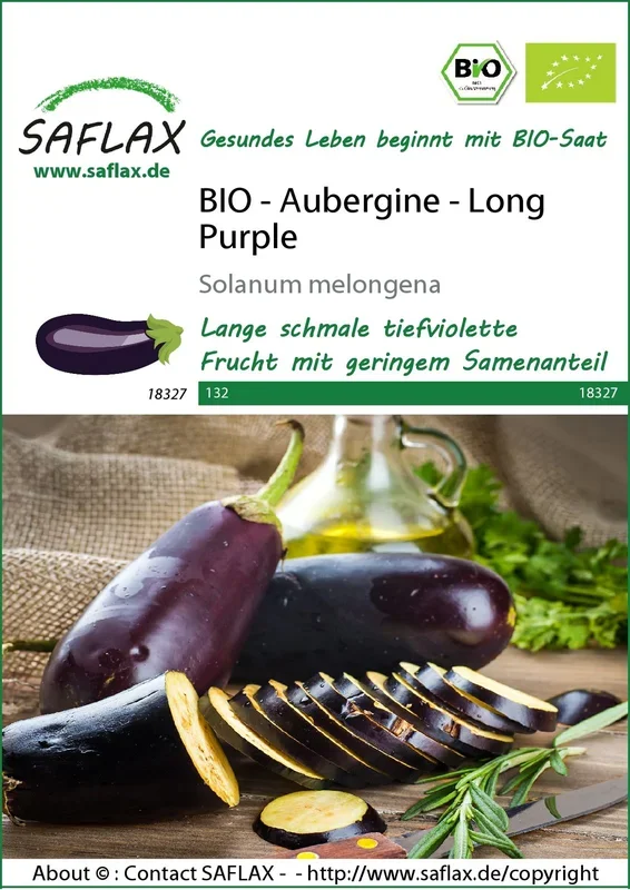 BIO Aubergine Long Purple