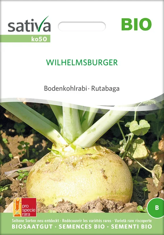 BIO Bodenkohlrabi Wilhelmsburger