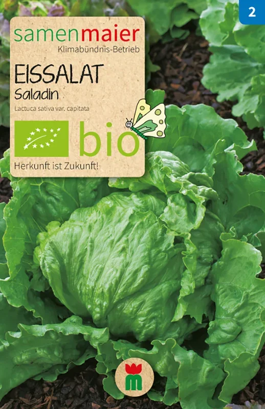 Bio-Eissalat Saladin [MHD 12/2025]