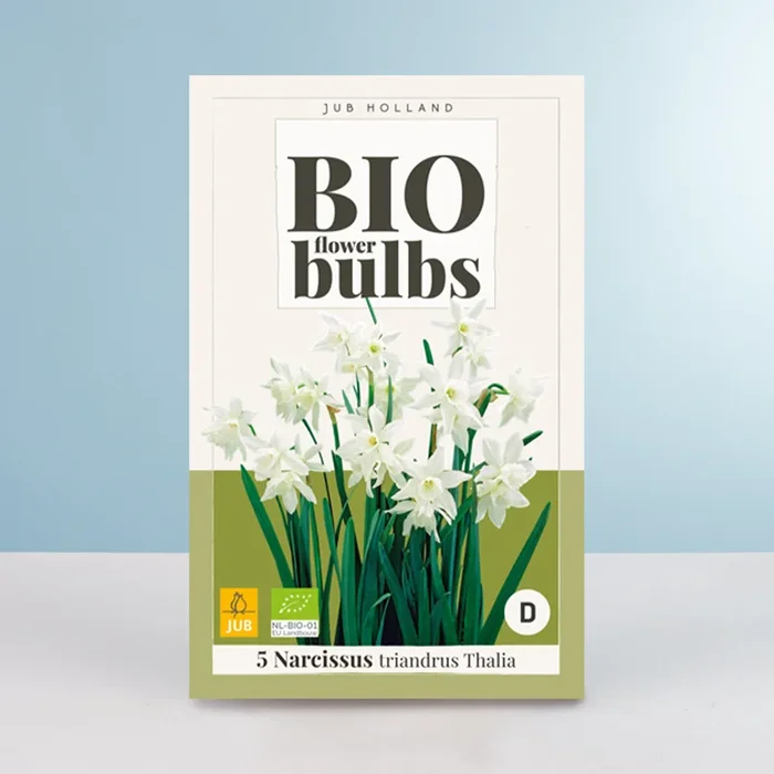 BIO Engelstränen-Narzisse ‚Triandrus Thalia‘ – 5 Zwiebeln
