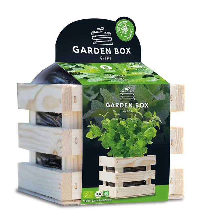 BIO Garden Box Gewürze Minze [MHD 12/2025]