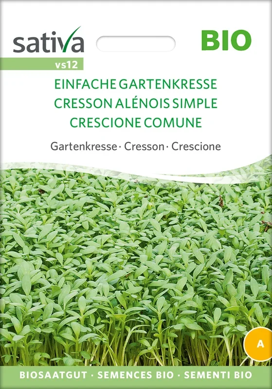 BIO Gartenkresse Einfache Gartenkresse [MHD 12/2024]