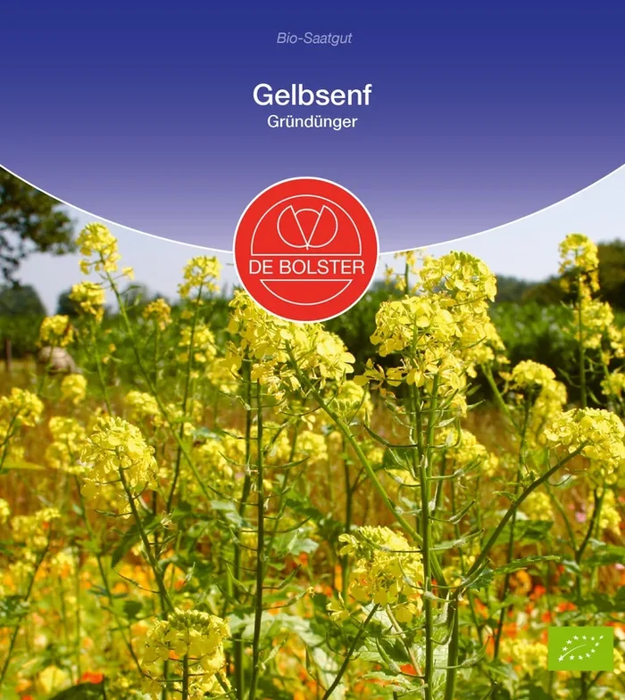 BIO Gelbsenf Gründünger [MHD 12/2024]