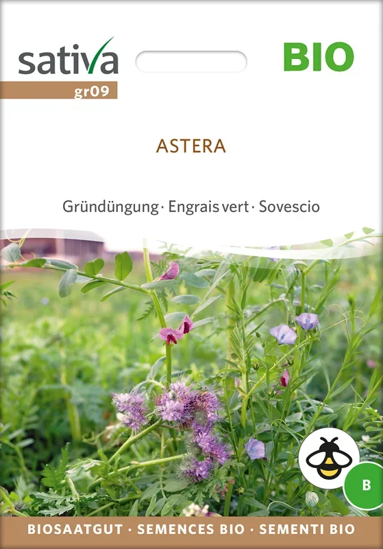 BIO Gründüngung Astera [MHD 12/2025]