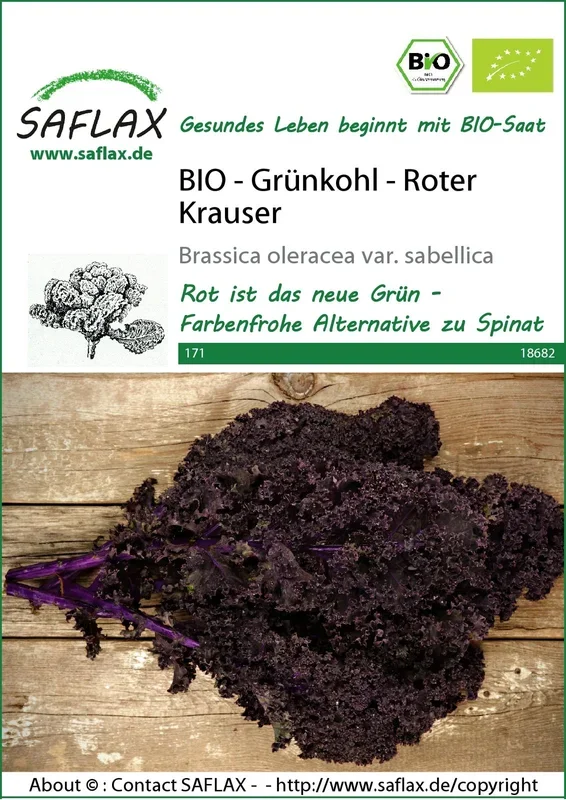 BIO Grünkohl Roter Krauser