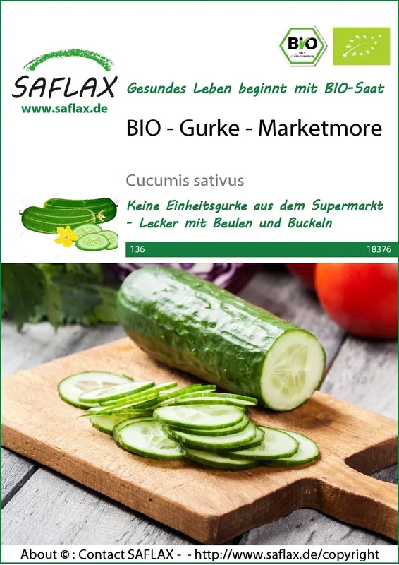 BIO Gurke Marketmore