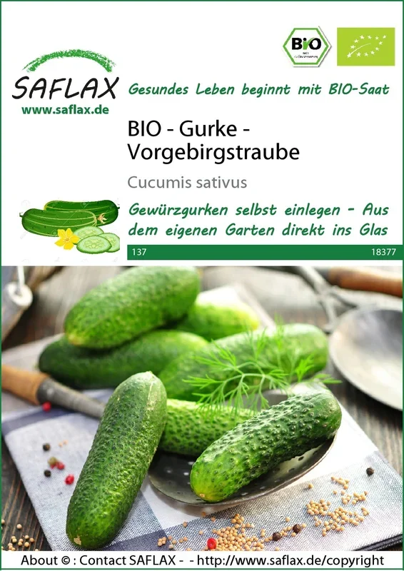 BIO Gurke Vorgebirgstraube