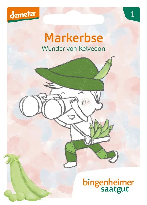 BIO KinderKollektion – Markerbse Wunder von Kelvedon