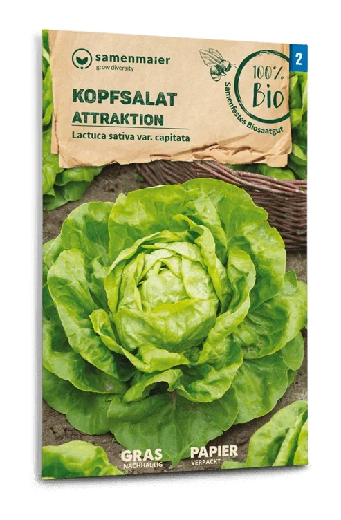 BIO Kopfsalat Attraktion
