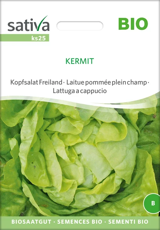 BIO Kopfsalat Freiland Kermit [MHD 12/2025]