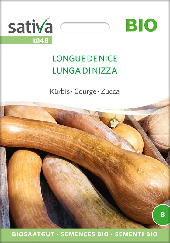 BIO Kürbis Longue De Nice