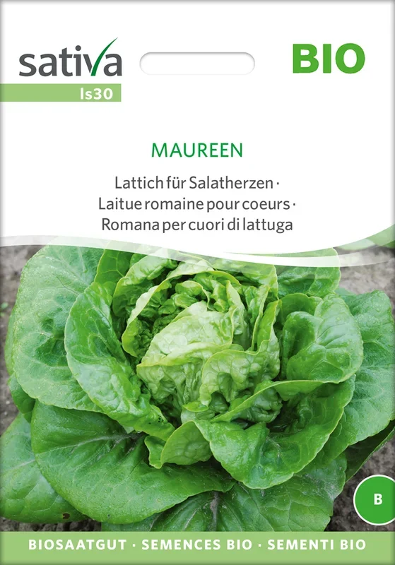 BIO Lattich für Salatherzen Maureen [MHD 12/2024]