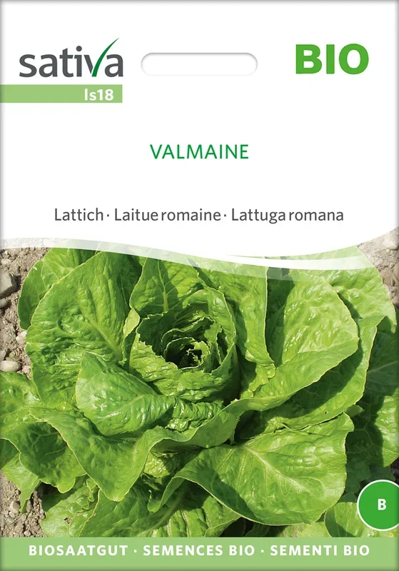 BIO Lattich Valmaine [MHD 12/2025]