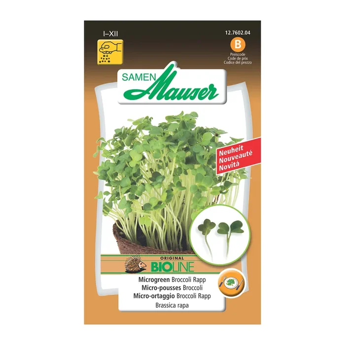 Bio Microgreen Broccoli ‚Rapp‘