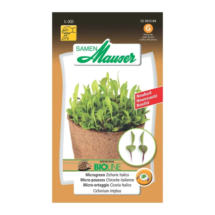 Bio Microgreen Zichorie ‚Italico‘