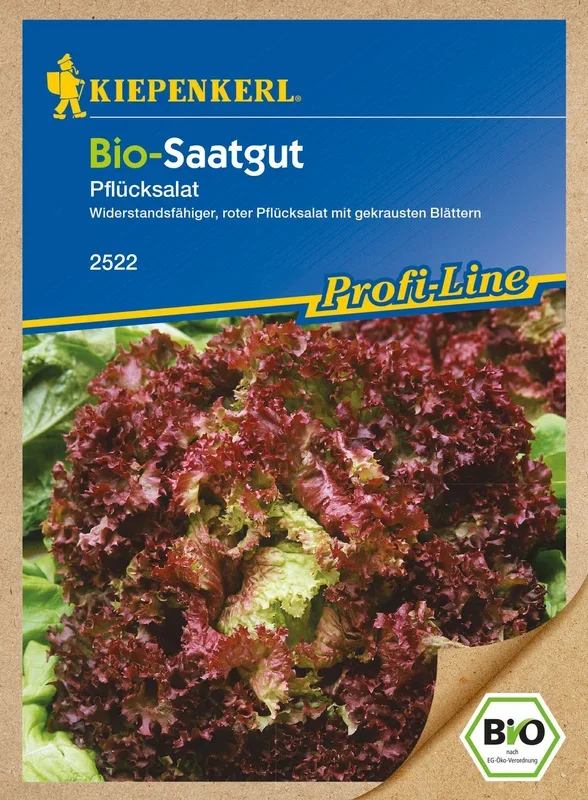 BIO Pflücksalat Lollo Rossa [MHD 01/2024]