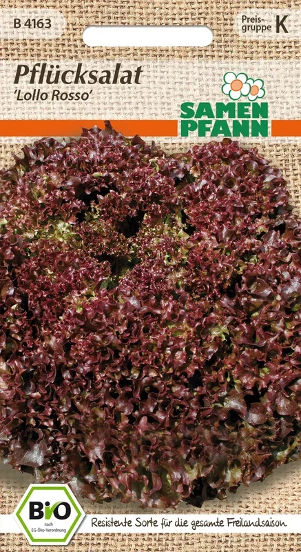 BIO Pflücksalat Lollo Rossa (Senorita) [MHD 01/2025]