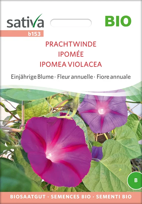 BIO Prachtwinde