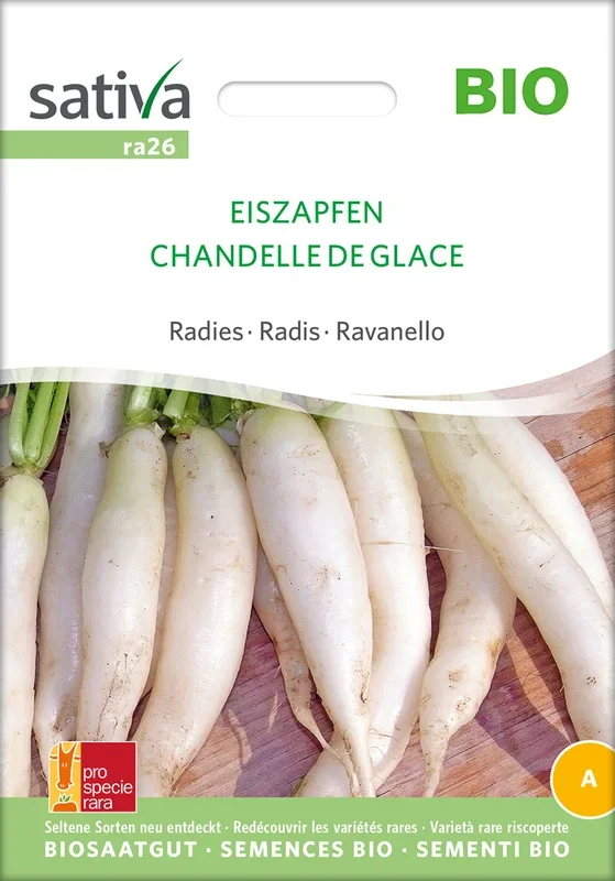 BIO Radies Eiszapfen [MHD 12/2025]
