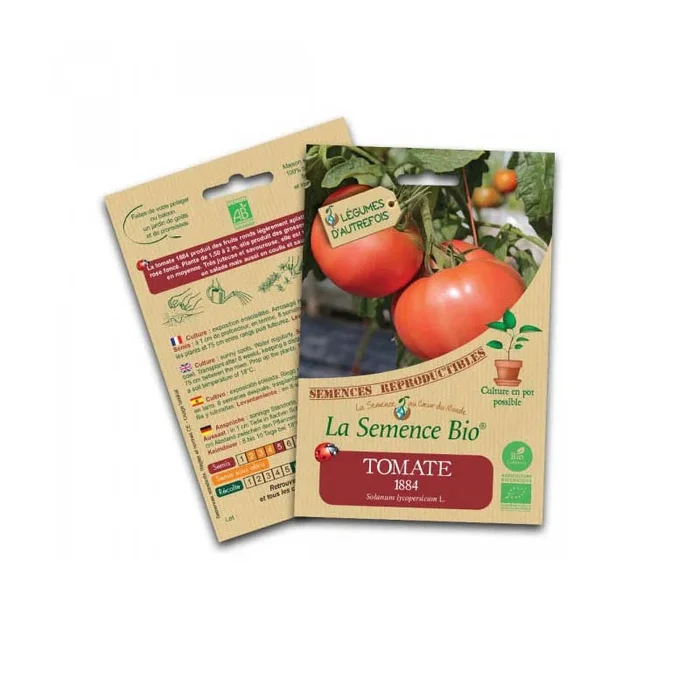 Bio-Saatgut – Tomate 1884