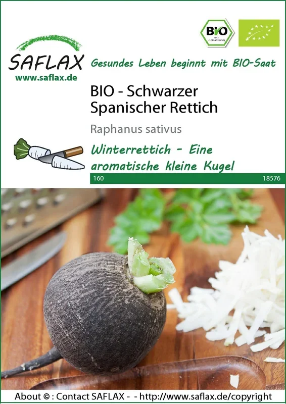 BIO Schwarzer Spanischer Rettich [MHD 06/2024]