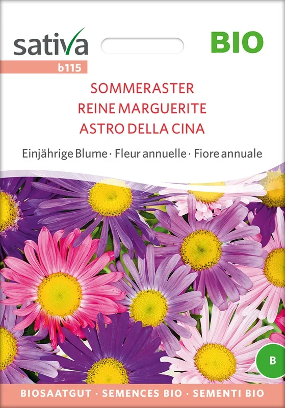 BIO Sommeraster [MHD 12/2025]