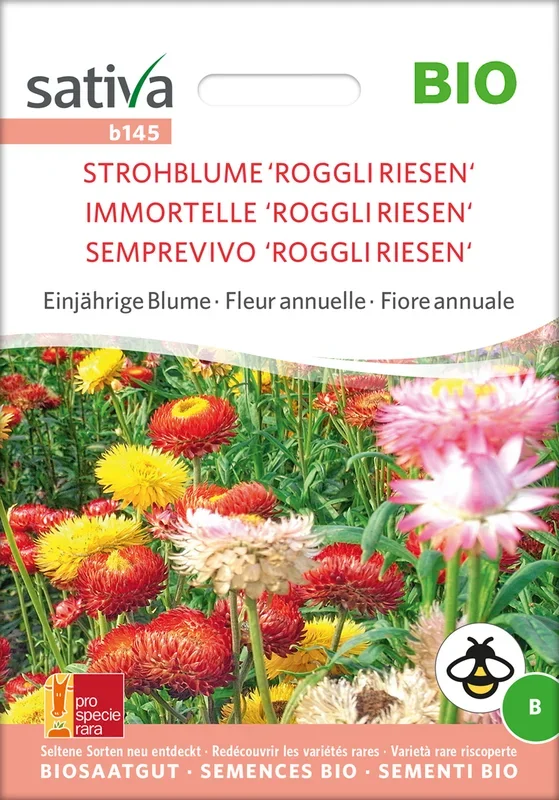 BIO Strohblume Roggli Riesen [MHD 12/2025]
