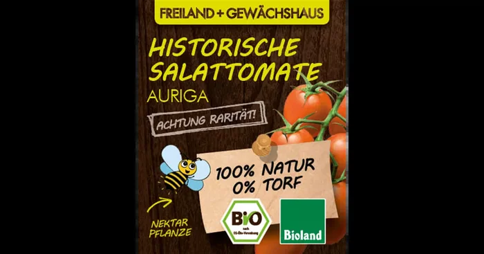 Bio Tomate ‚Auriga‘