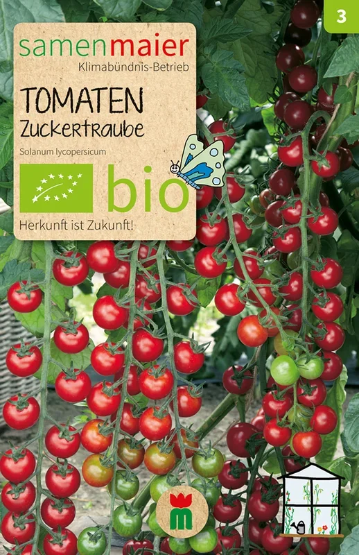 BIO Tomate Zuckertraube