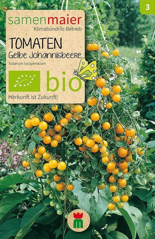 BIO Tomaten Gelbe Johannisbeere