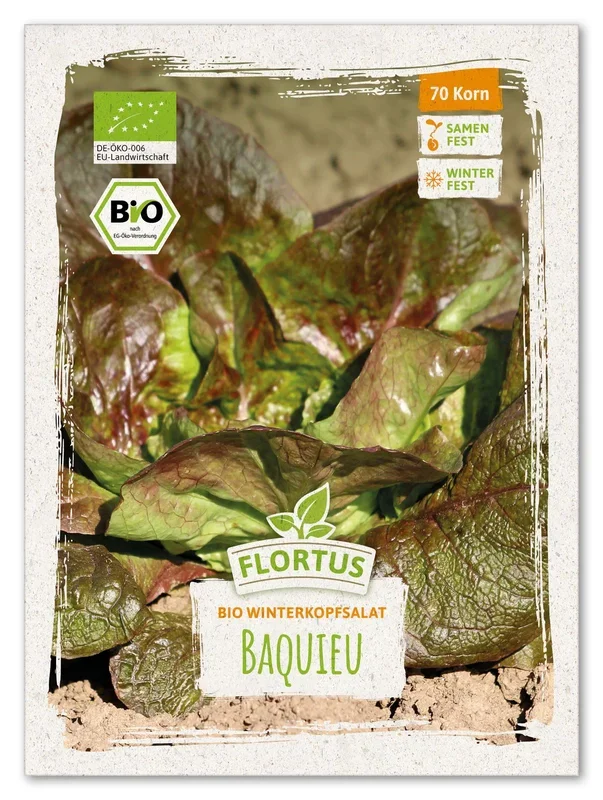 BIO Winterkopfsalat Baquieu
