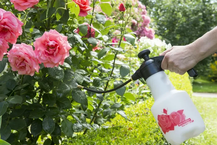 Birchmeier Druckspeichersprühgerät ‚Rose Star 1.25‘ 1,25 l