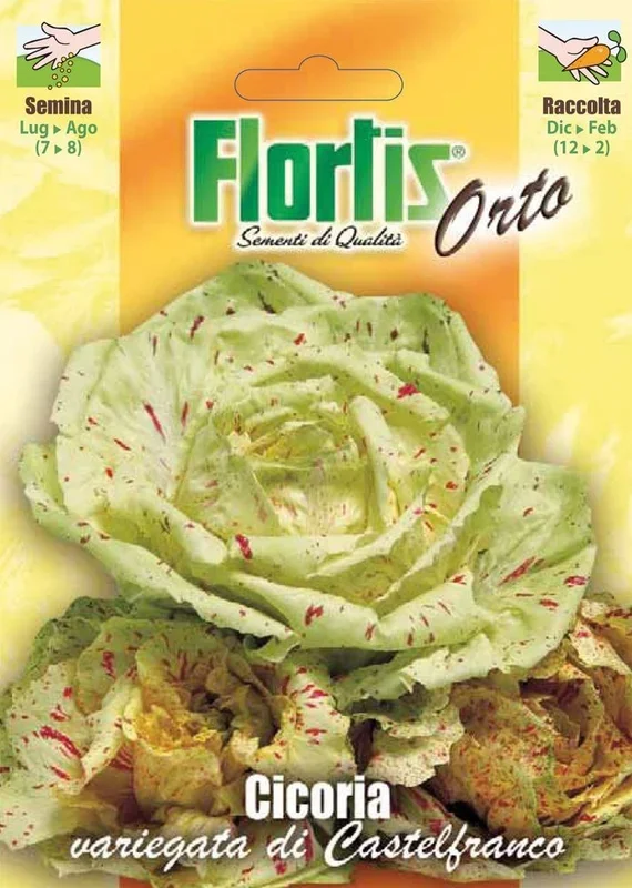 Blattzichorie Variegata Castelfranco [MHD 12/2025]