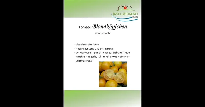Blondköpfchen