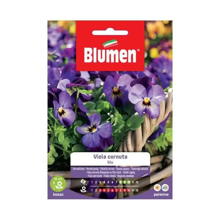 Blue Cornuta Viola Samen in Beutel