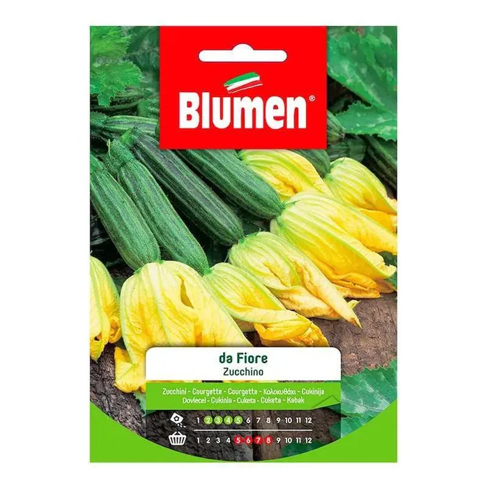 Blühende Zucchini-Samen im Beutel