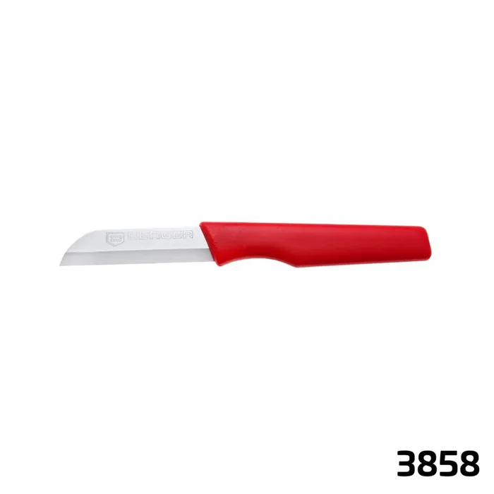 Blumen- und Küchenmesser | 10 Stück | 3858