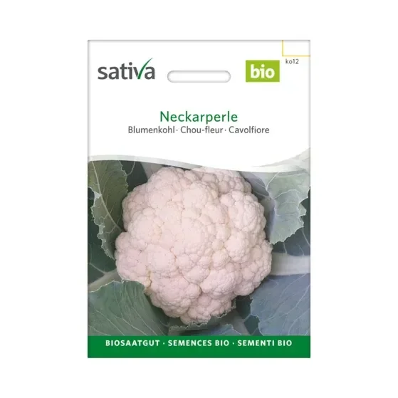 Blumenkohl Neckarperle Biosamen ko12