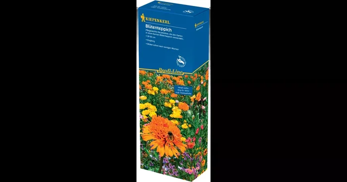 Blumenmischung Blütenteppich