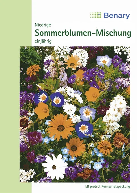 Blumenmischung Niedrige Sommerblumen-Mischung