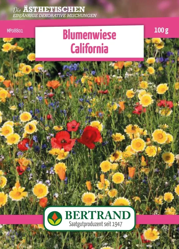 Blumenwiese Blumenteppich California (100 g)