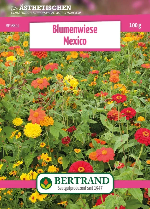 Blumenwiese Blumenteppich Mexico (100 g)