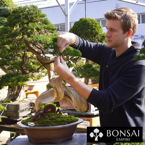 Bonsai Beginners Course