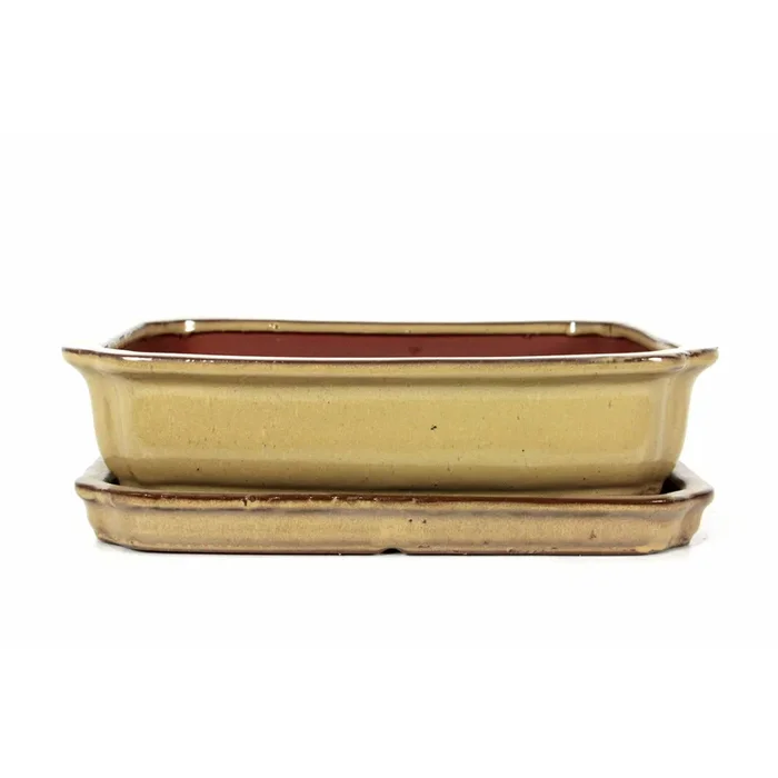 Bonsaischale mit Untersetzer 31x24x7.5 cm glasiert eckig Farbe: beige